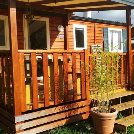 Mobil-Home 6 Personnes A Munster En Alsace Eksteriør billede